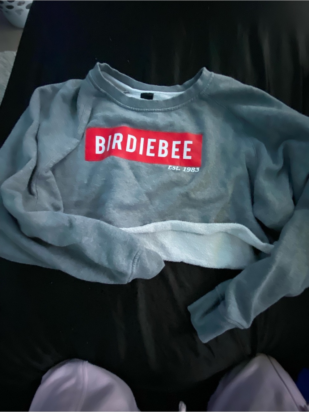 Birdiebee Women's Crewneck Sweatshirt in Gray with Red Logo